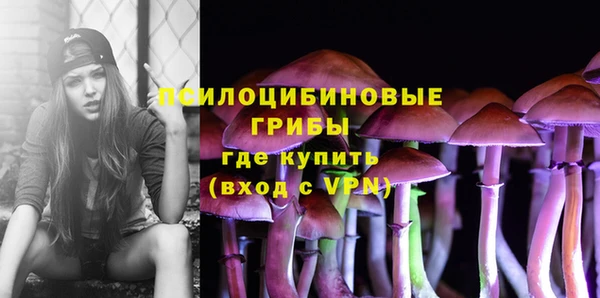 mix Богородск