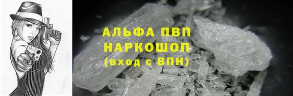 mdpv Богданович