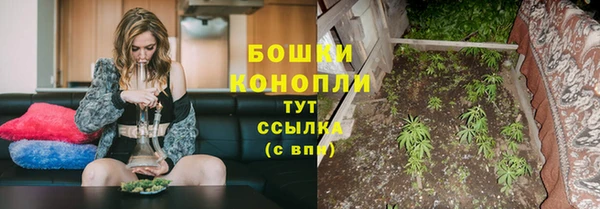 mix Богородск