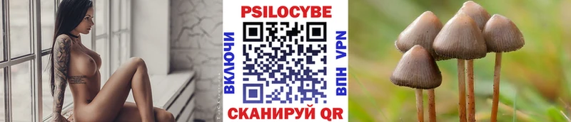 Псилоцибиновые грибы GOLDEN TEACHER  Копейск 